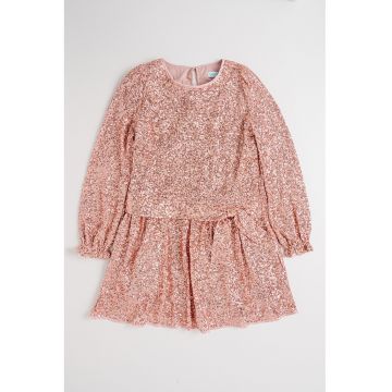 Rochie cu aplicatii cu paiete