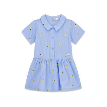 Rochie evazata cu broderii - Albastru pastel