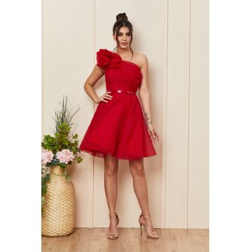 Rochie Dancing Rosie